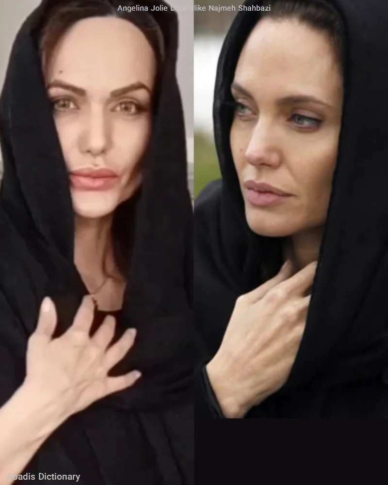angelina jolie look alike najmeh shahbazi